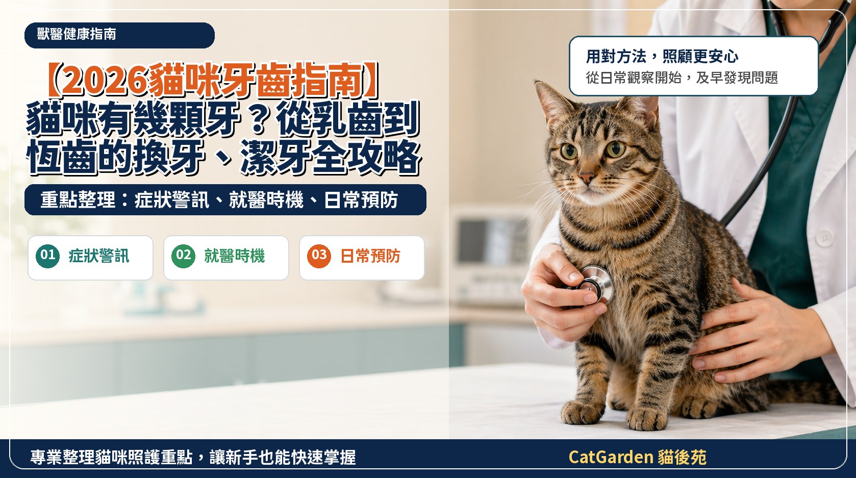 【2026貓咪牙齒指南】貓咪有幾顆牙？從乳齒到恆齒的換牙、潔牙全攻略 封面圖