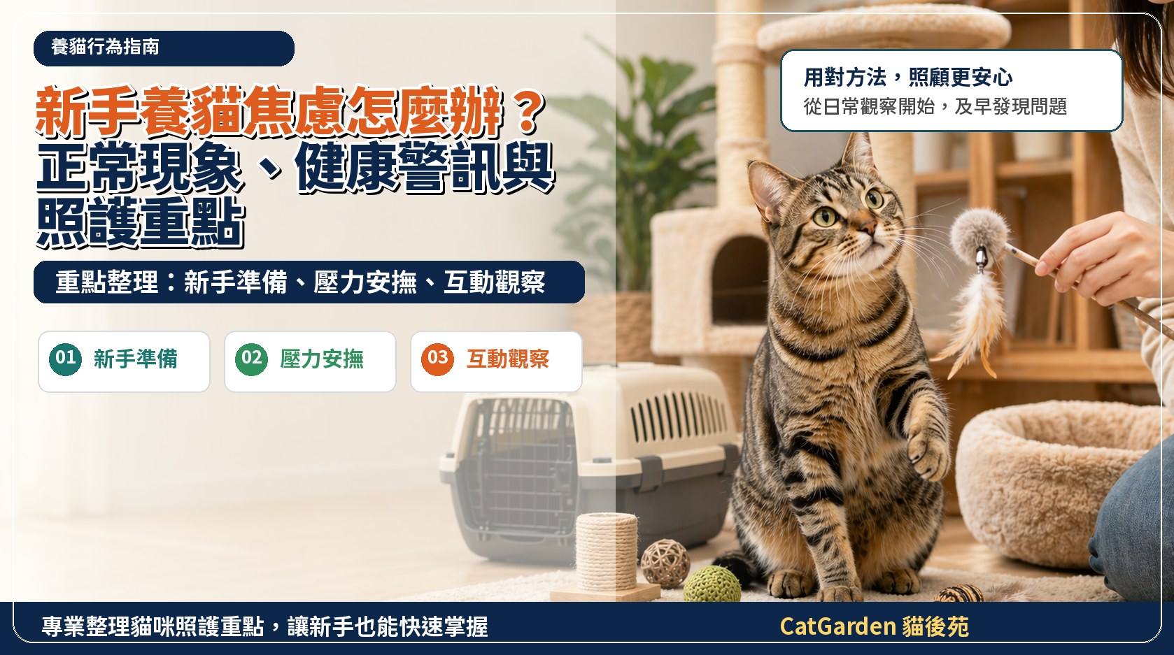 新手養貓焦慮怎麼辦？正常現象、健康警訊與照護重點 封面圖