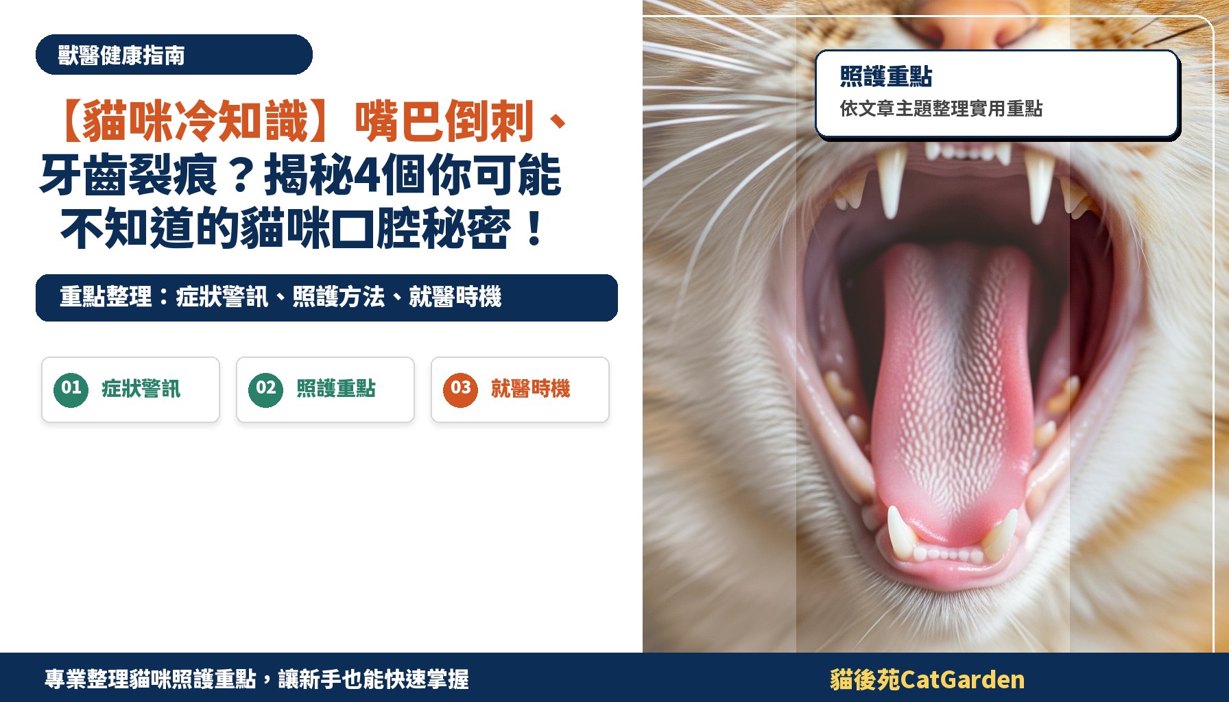 【貓咪冷知識】嘴巴倒刺、牙齒裂痕？揭秘4個你可能不知道的貓咪口腔秘密！