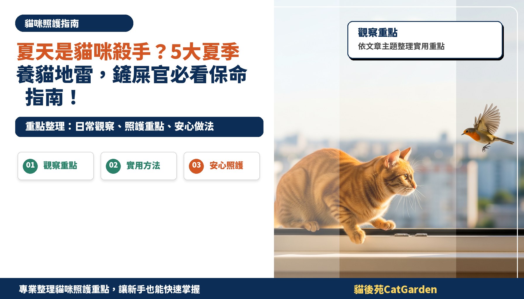 夏天是貓咪殺手？5大夏季養貓地雷，鏟屎官必看保命指南！