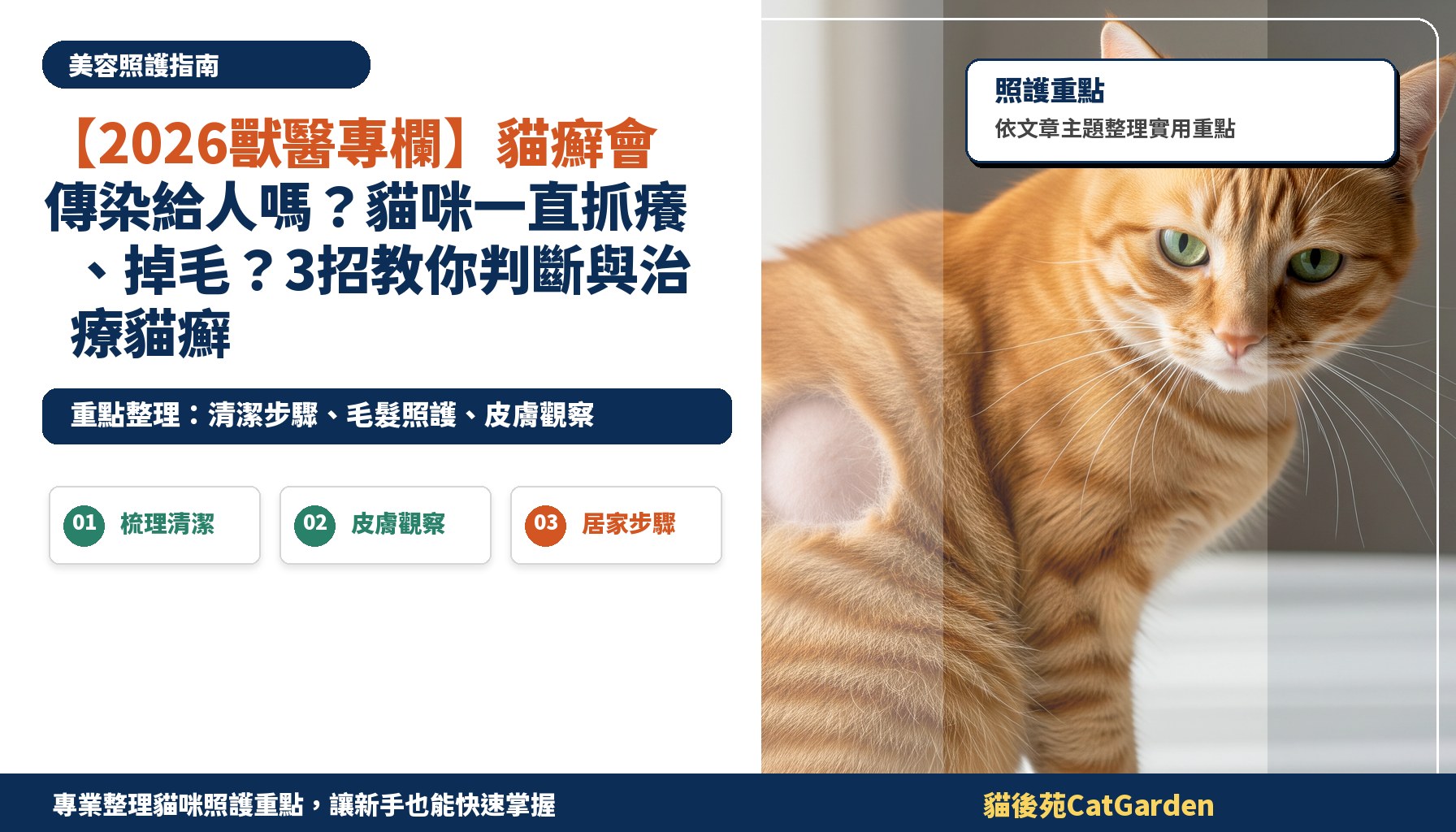 【2026獸醫專欄】貓癬會傳染給人嗎？貓咪一直抓癢、掉毛？3招教你判斷與治療貓癬
