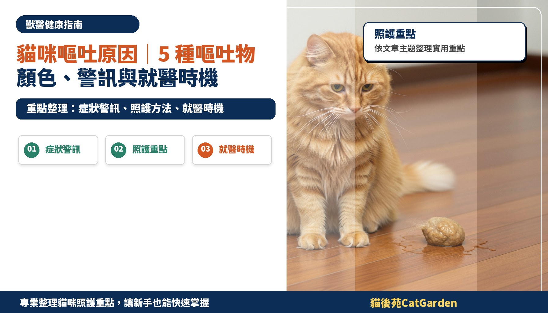貓咪嘔吐原因｜5 種嘔吐物顏色、警訊與就醫時機
