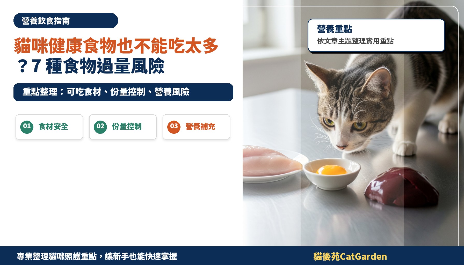 貓咪健康食物也不能吃太多？7 種食物過量風險