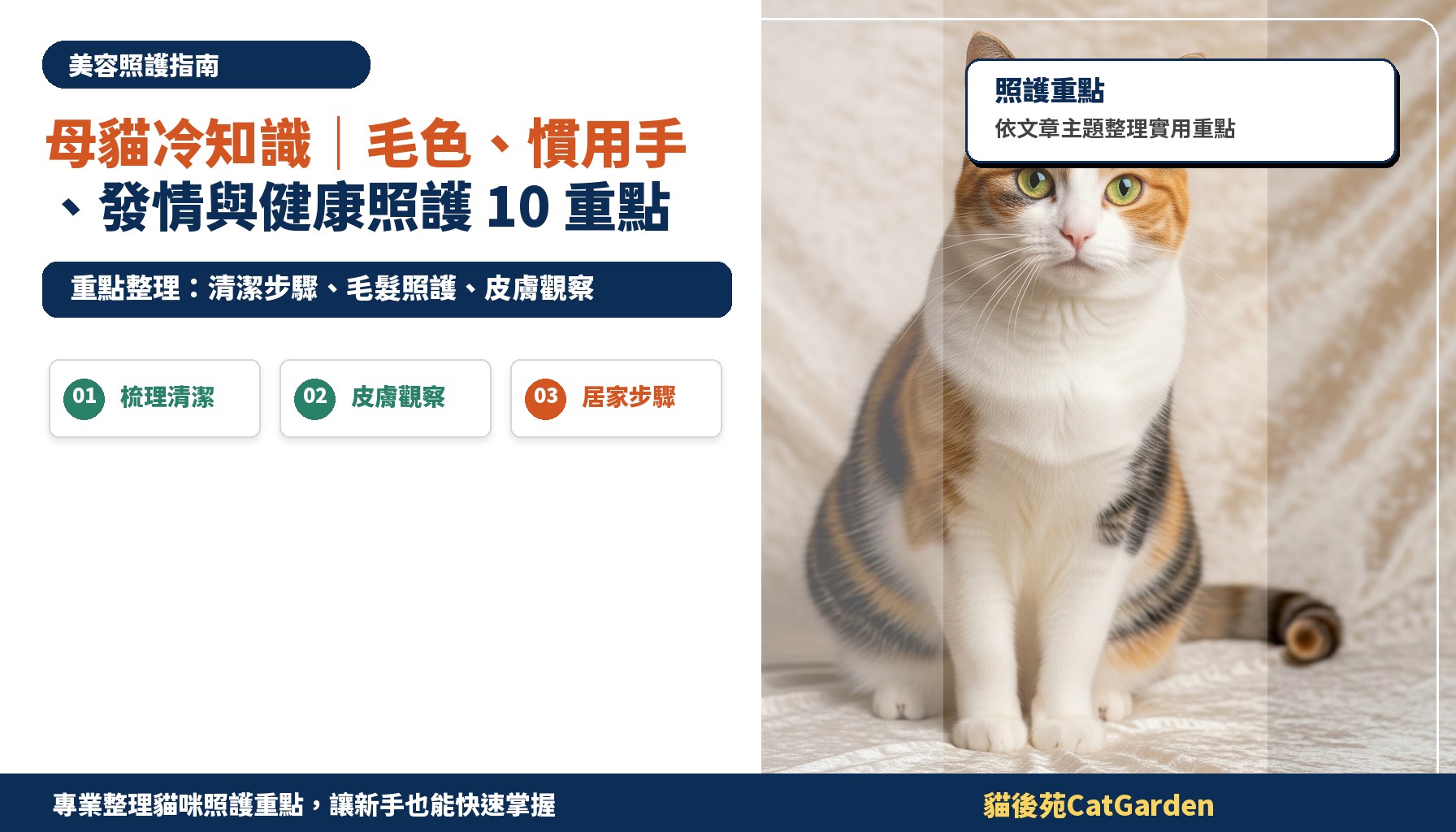 母貓冷知識｜毛色、慣用手、發情與健康照護 10 重點