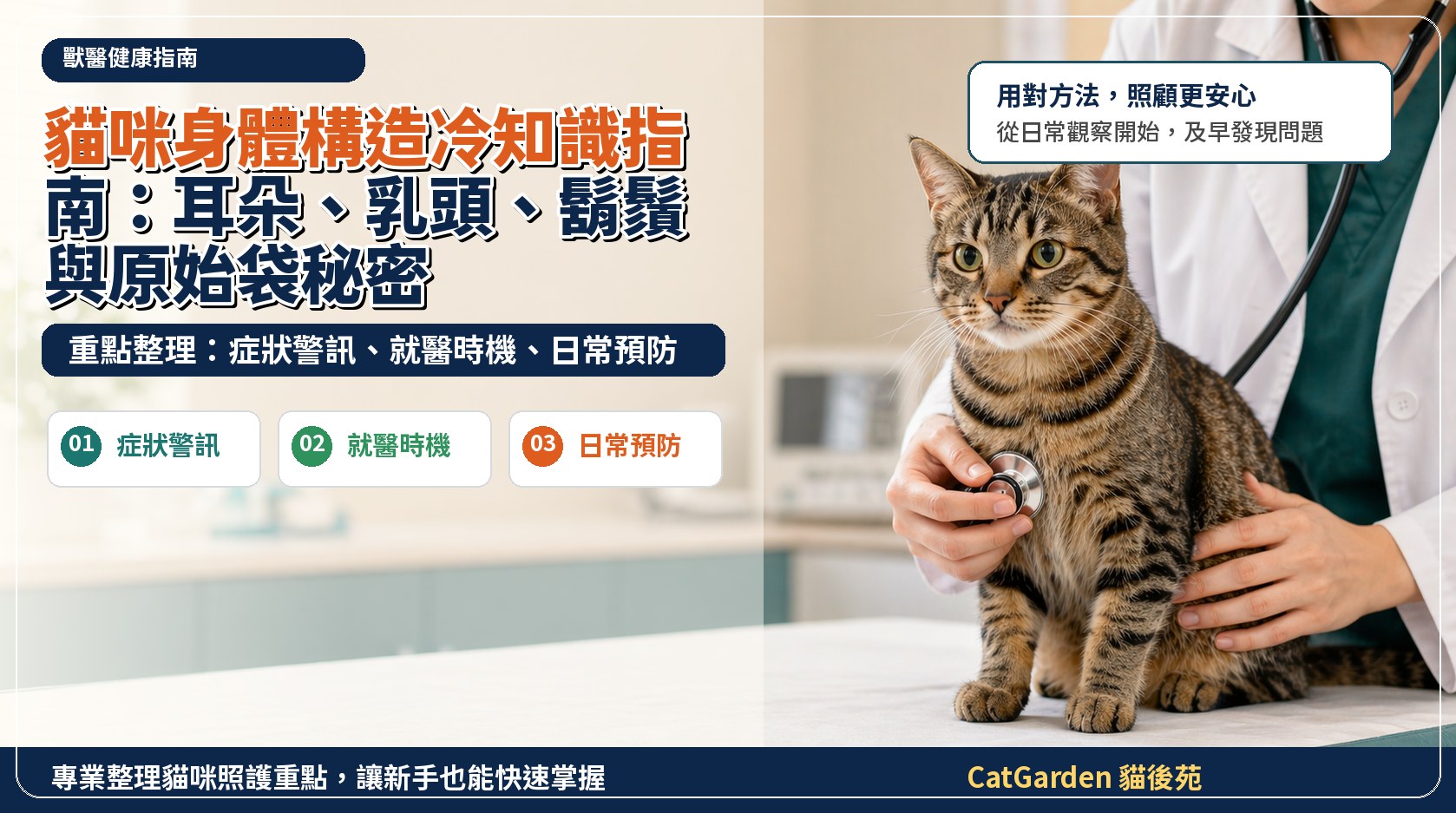 貓咪身體構造冷知識指南：耳朵、乳頭、鬍鬚與原始袋秘密 封面圖