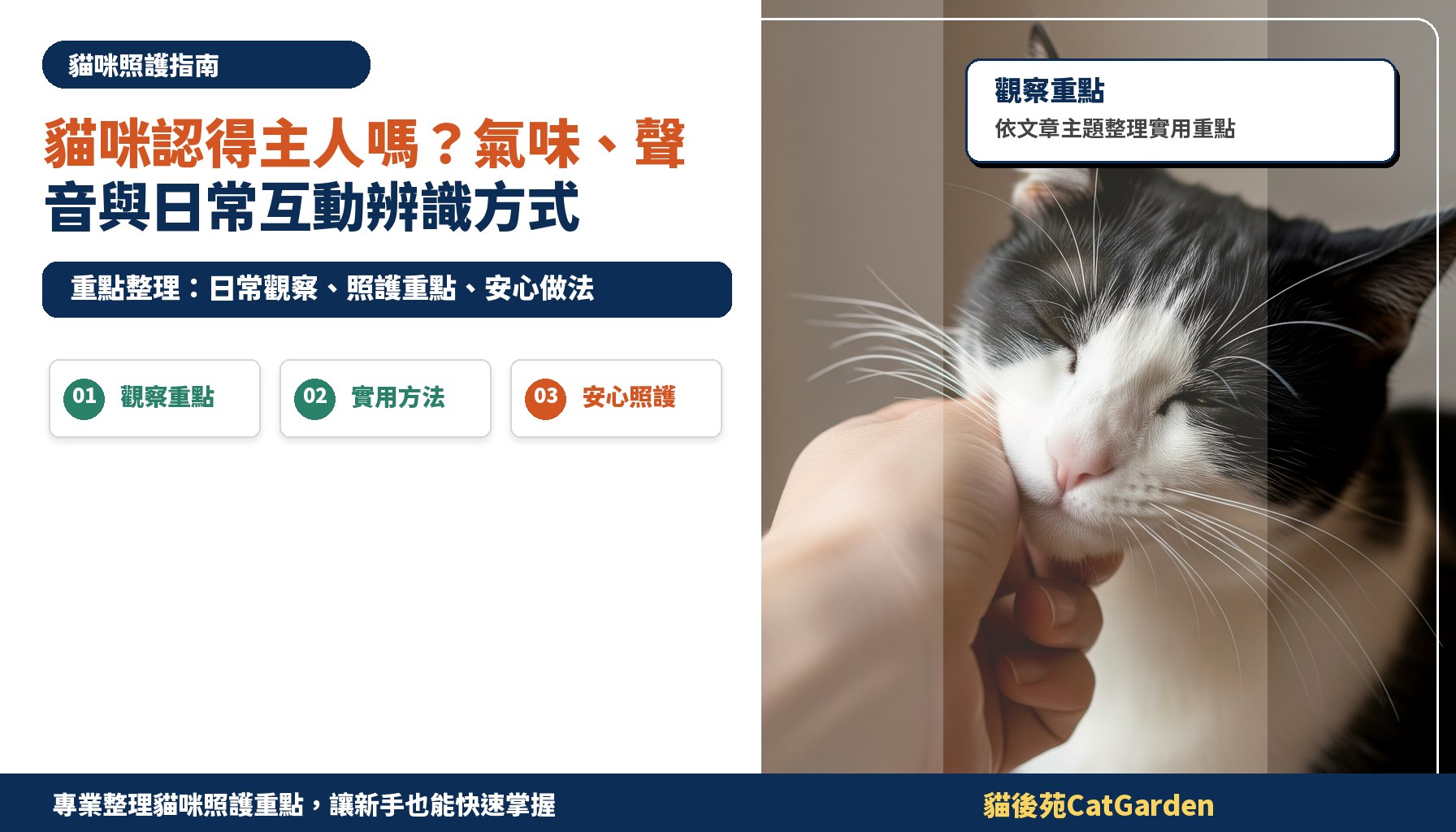 貓咪認得主人嗎？氣味、聲音與日常互動辨識方式