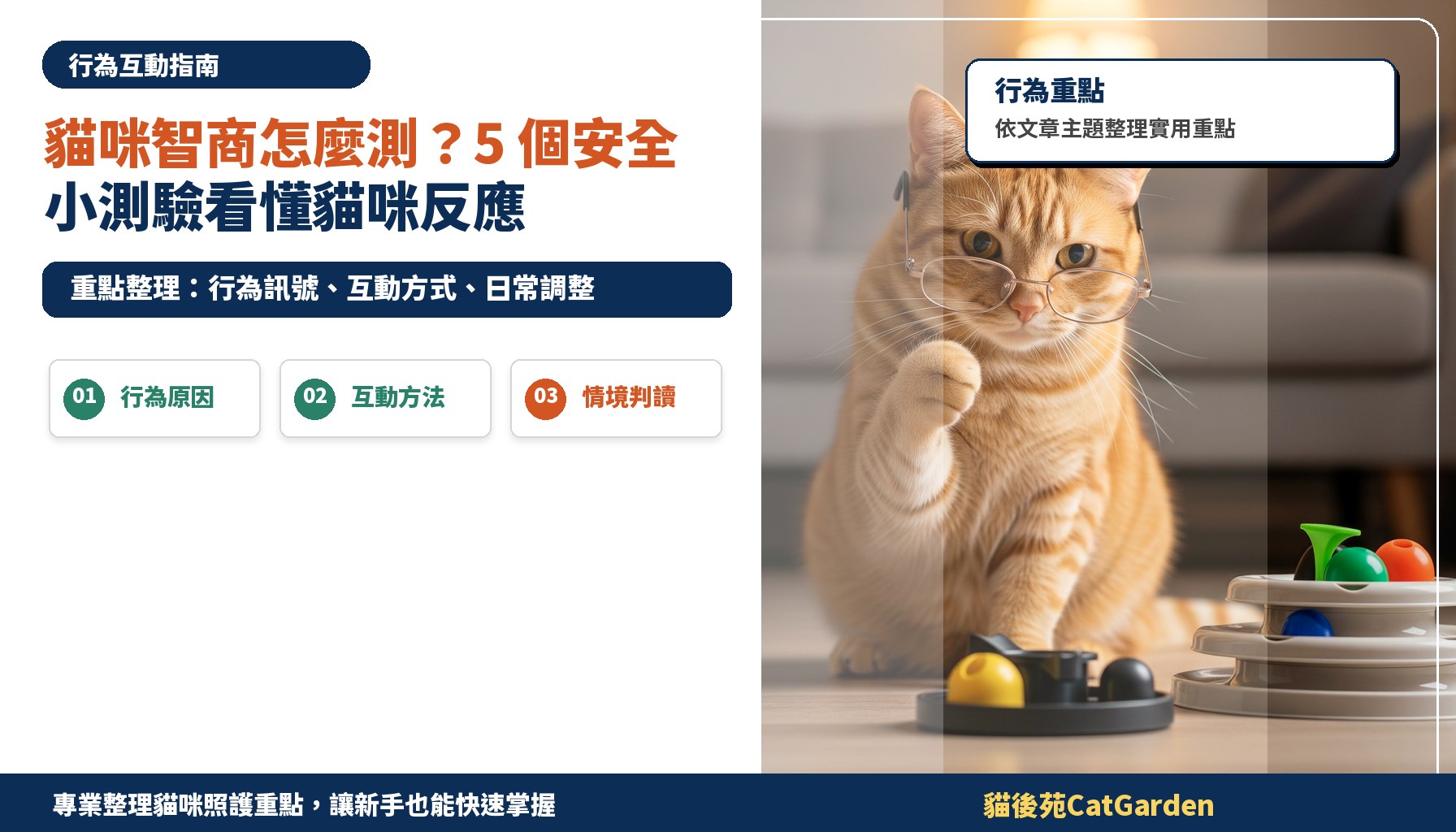 貓咪智商怎麼測？5 個安全小測驗看懂貓咪反應