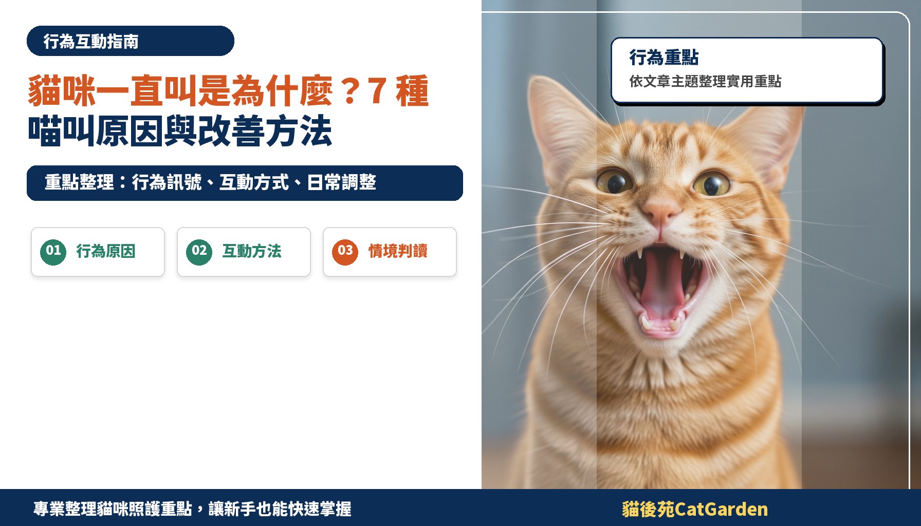 貓咪一直叫是為什麼？7 種喵叫原因與改善方法