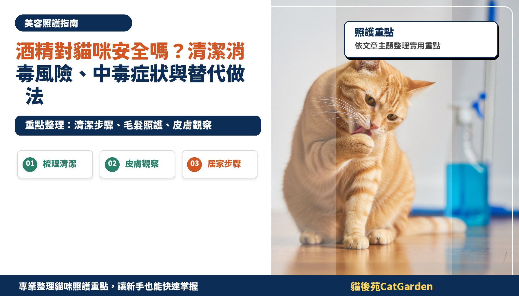 酒精對貓咪安全嗎？清潔消毒風險、中毒症狀與替代做法