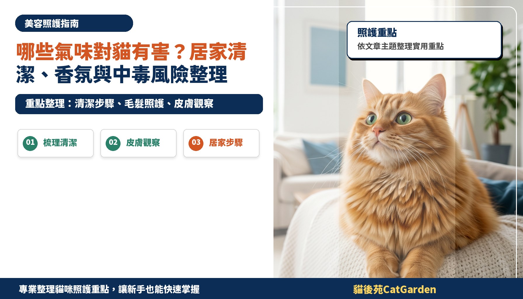 哪些氣味對貓有害？居家清潔、香氛與中毒風險整理