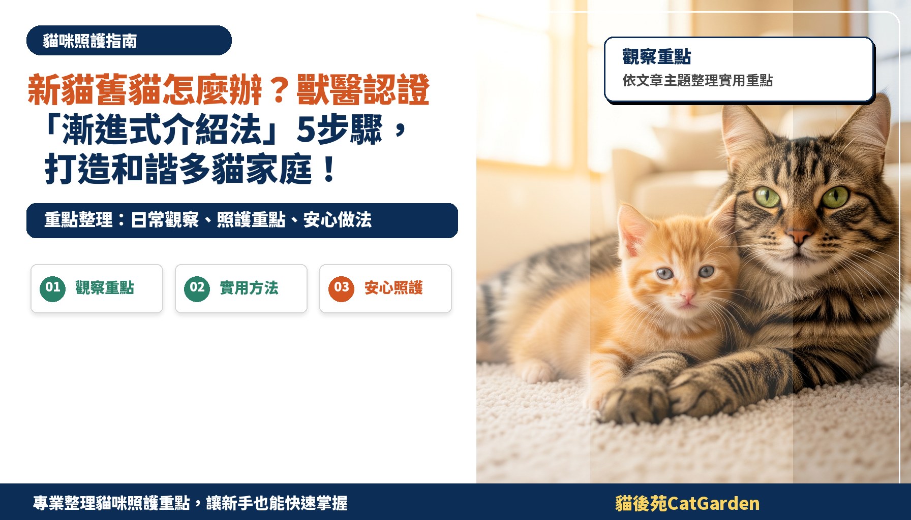 新貓舊貓怎麼辦？獸醫認證「漸進式介紹法」5步驟，打造和諧多貓家庭！