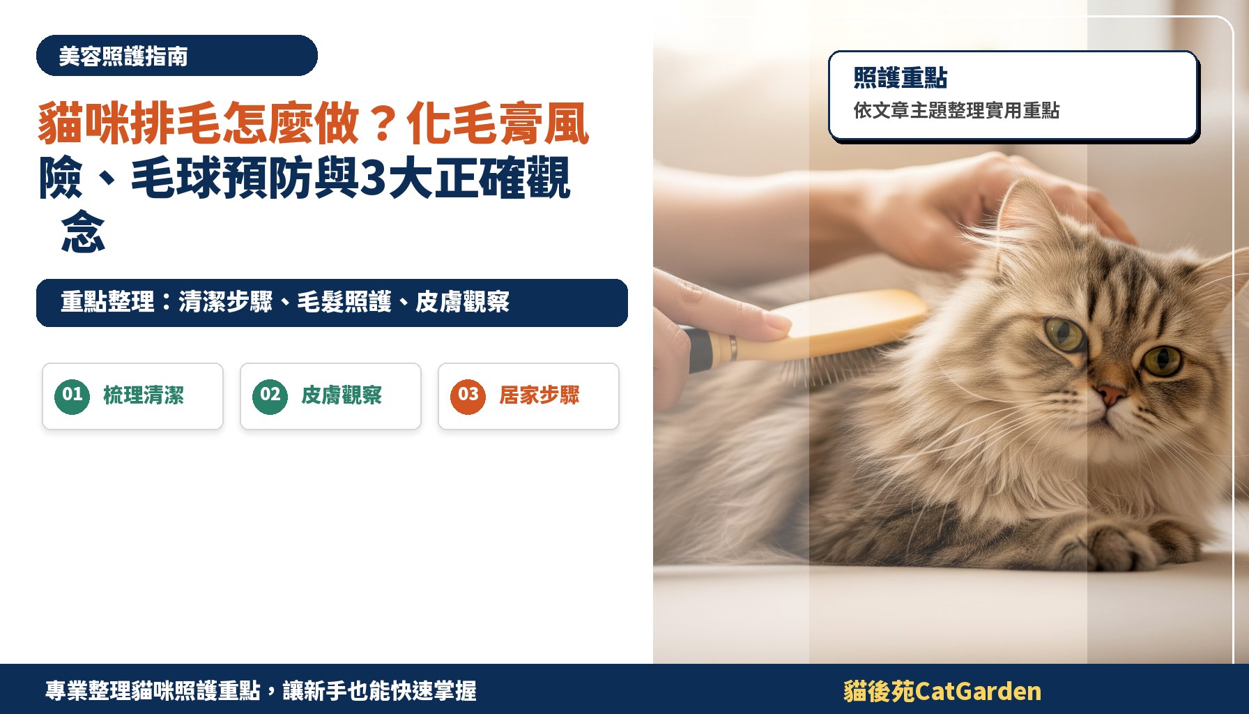 貓咪排毛怎麼做？化毛膏風險、毛球預防與3大正確觀念