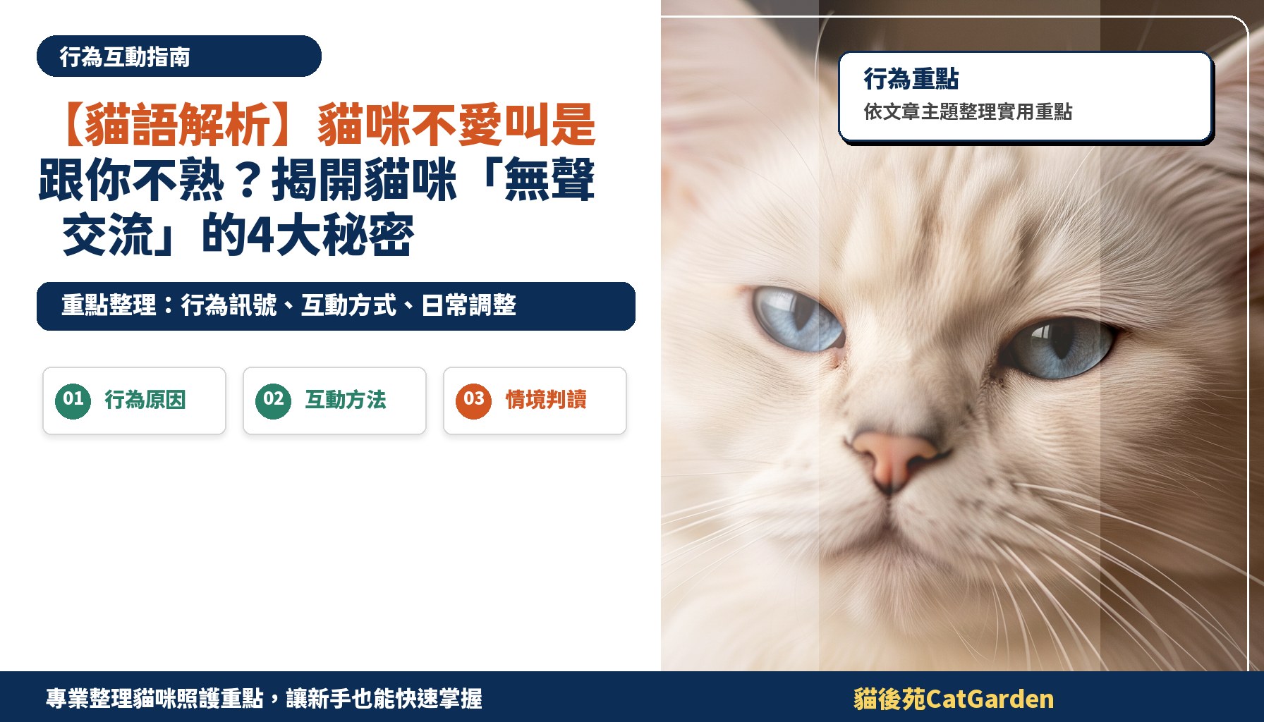 【貓語解析】貓咪不愛叫是跟你不熟？揭開貓咪「無聲交流」的4大秘密