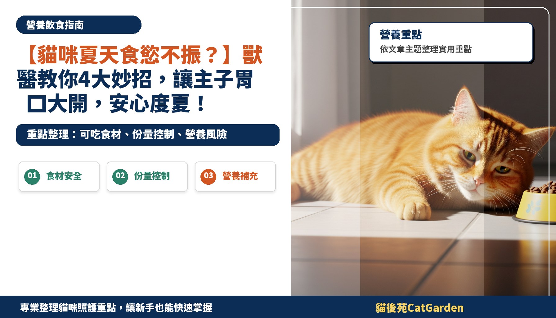 【貓咪夏天食慾不振？】獸醫教你4大妙招，讓主子胃口大開，安心度夏！