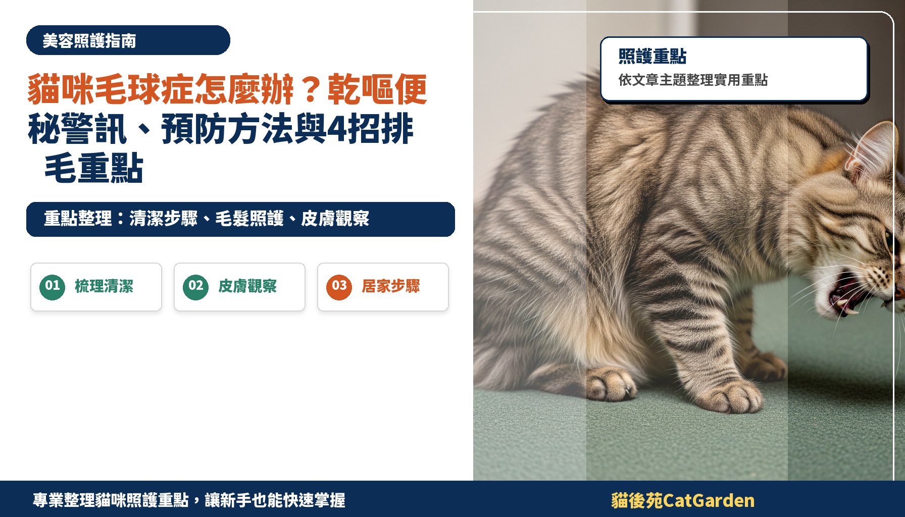 貓咪毛球症怎麼辦？乾嘔便秘警訊、預防方法與4招排毛重點