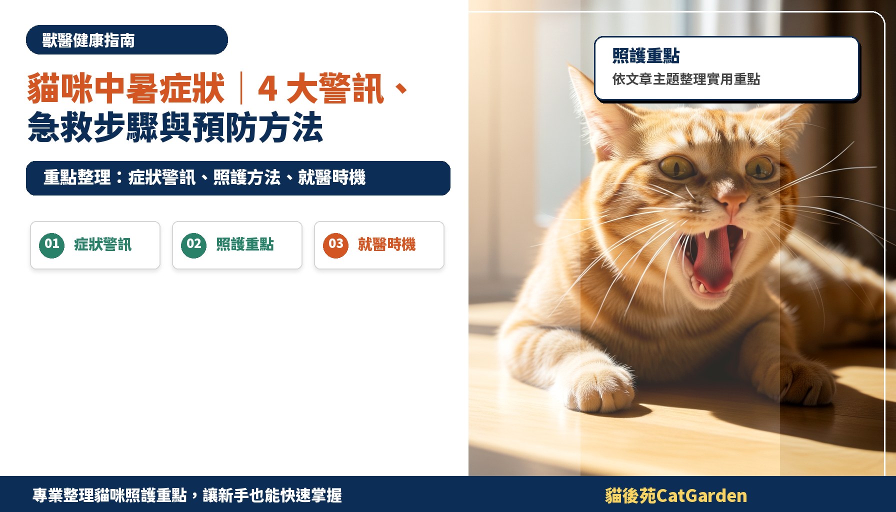 貓咪中暑症狀｜4 大警訊、急救步驟與預防方法