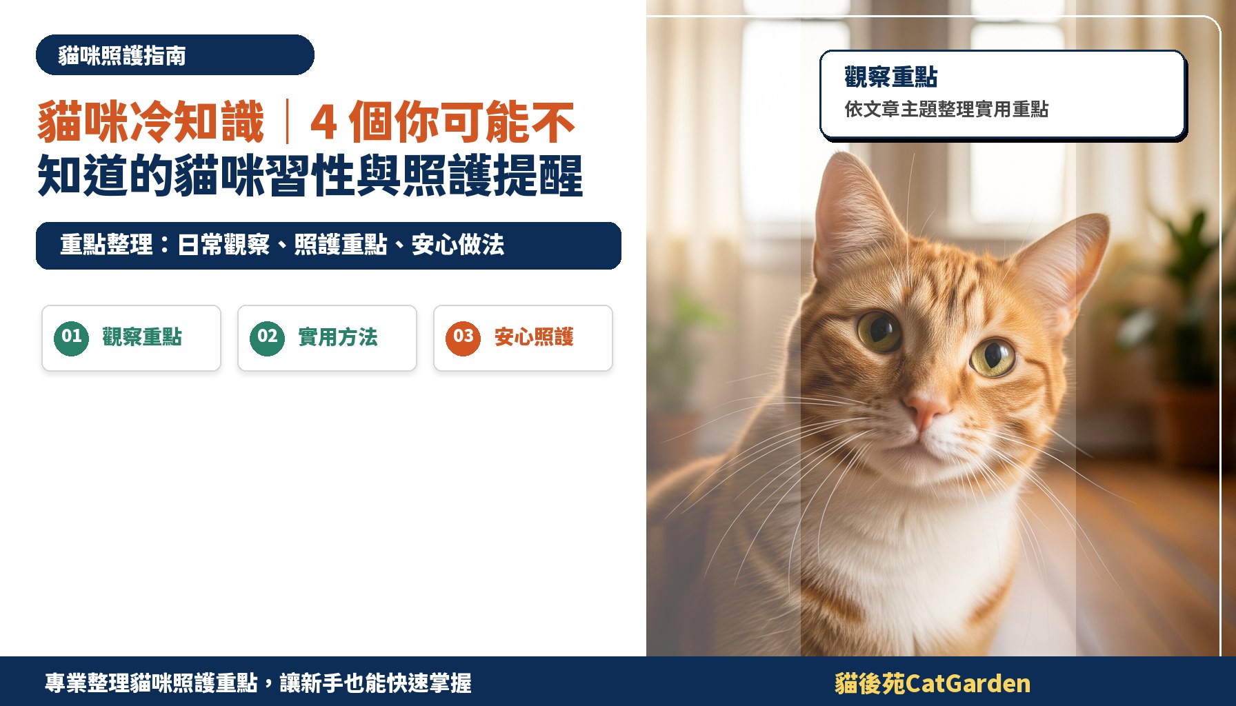 貓咪冷知識｜4 個你可能不知道的貓咪習性與照護提醒