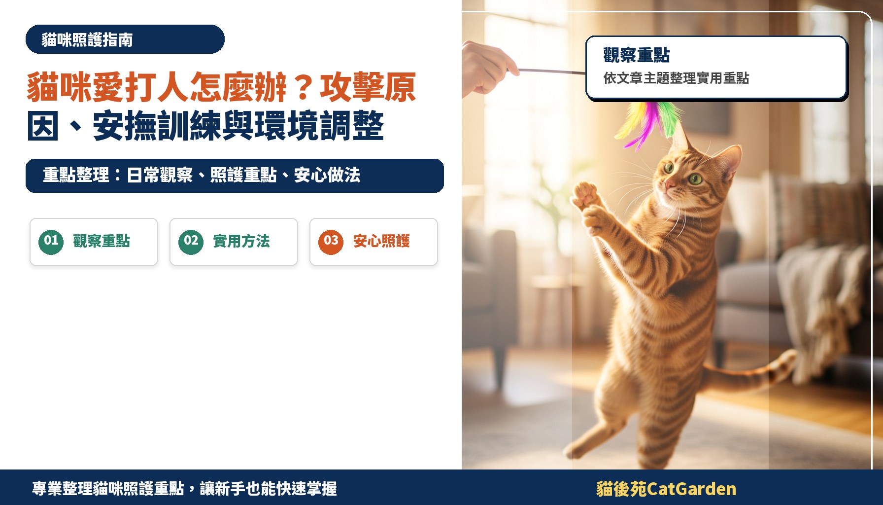 貓咪愛打人怎麼辦？攻擊原因、安撫訓練與環境調整