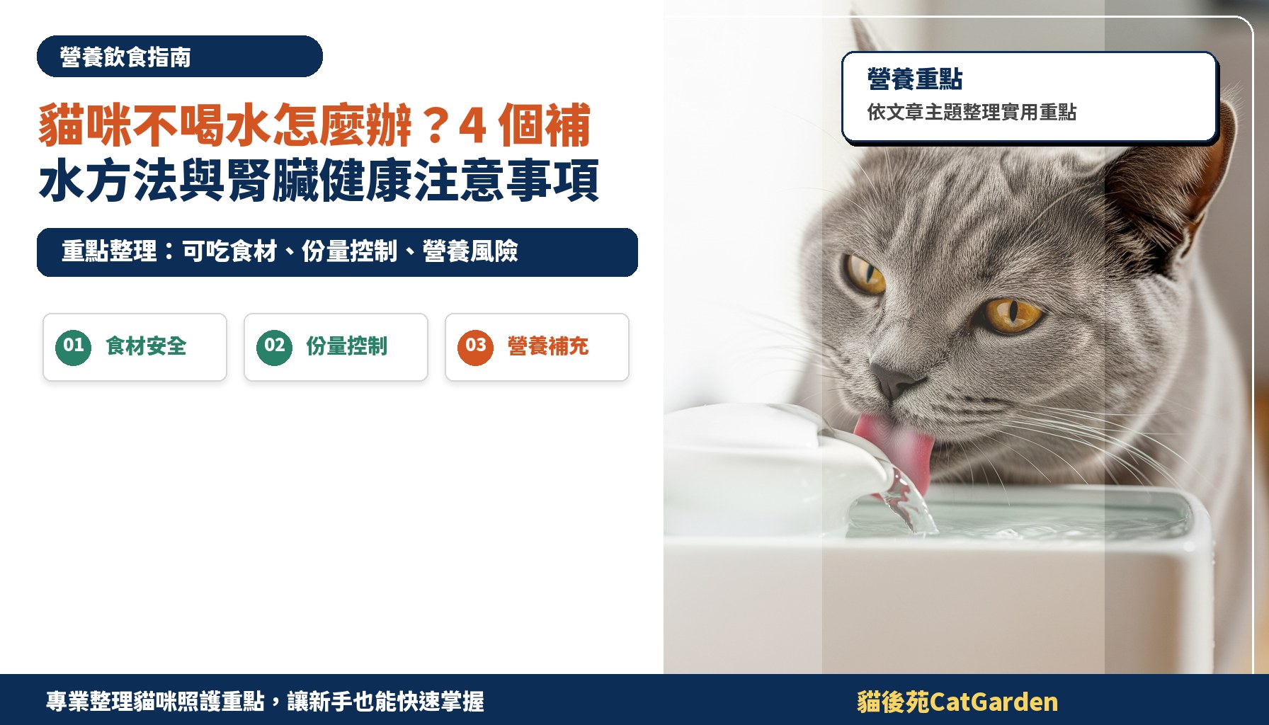 貓咪不喝水怎麼辦？4 個補水方法與腎臟健康注意事項