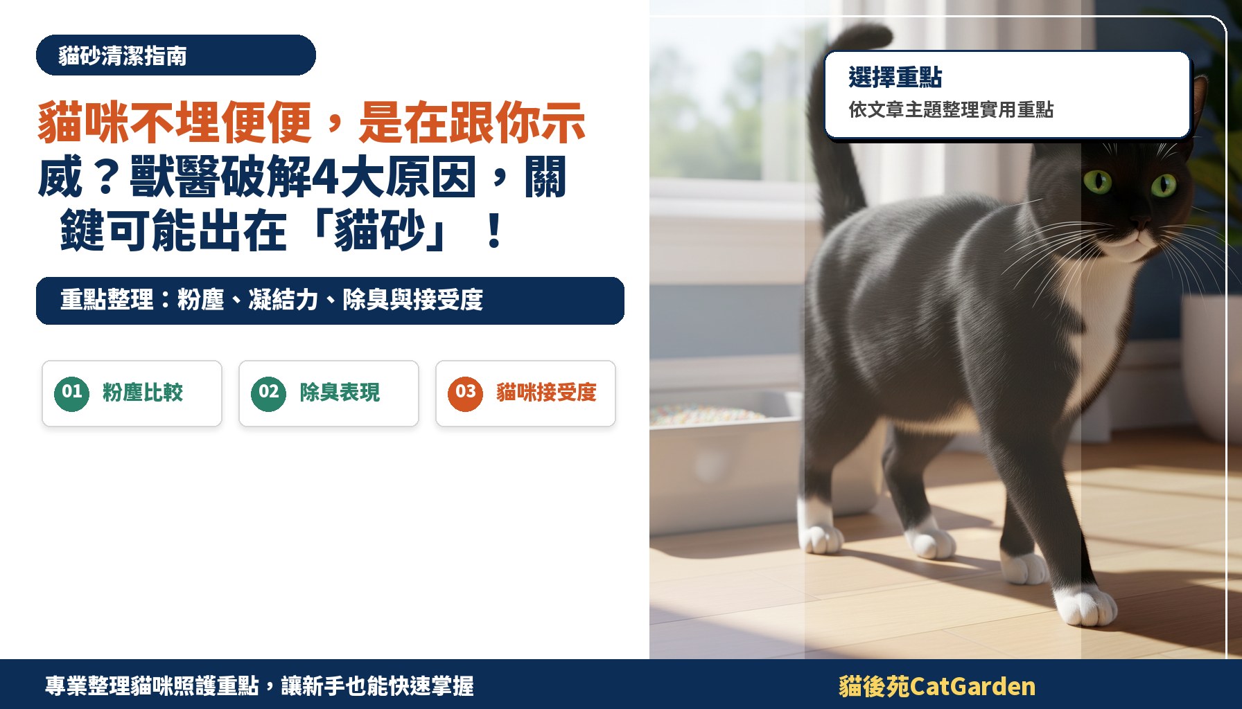 貓咪不埋便便，是在跟你示威？獸醫破解4大原因，關鍵可能出在「貓砂」！