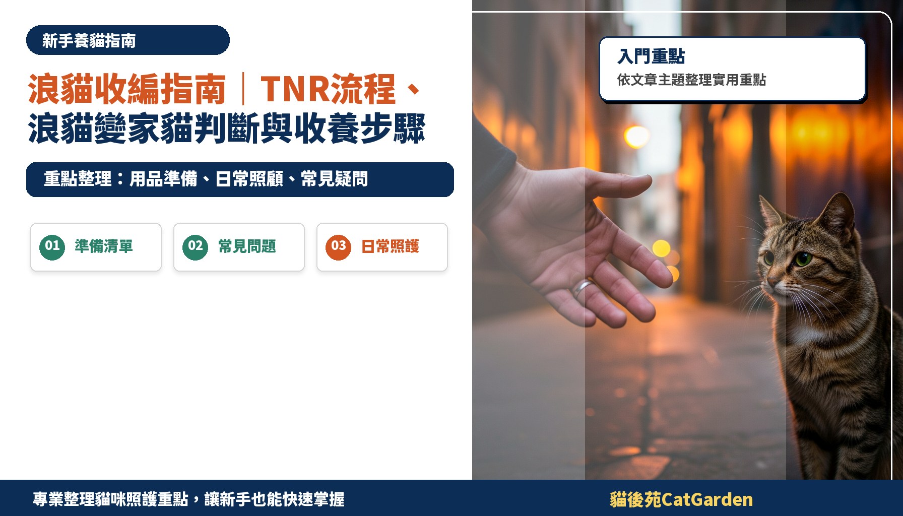 浪貓收編指南｜TNR流程、浪貓變家貓判斷與收養步驟