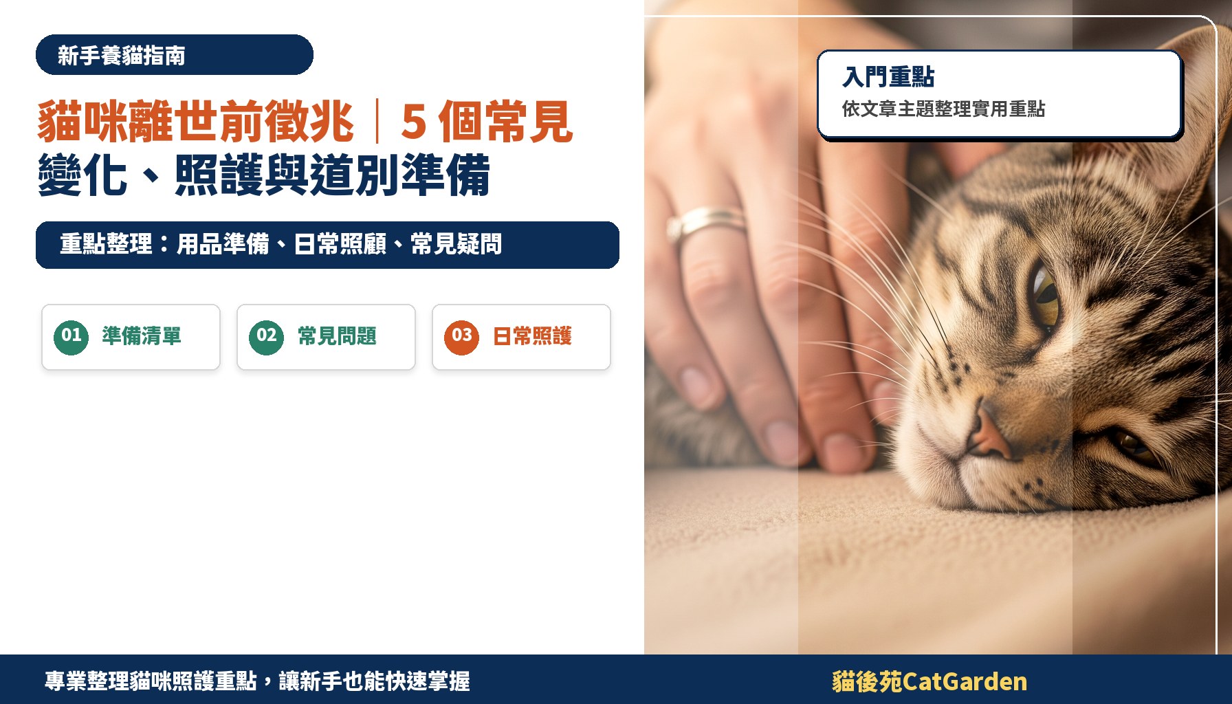 貓咪離世前徵兆｜5 個常見變化、照護與道別準備