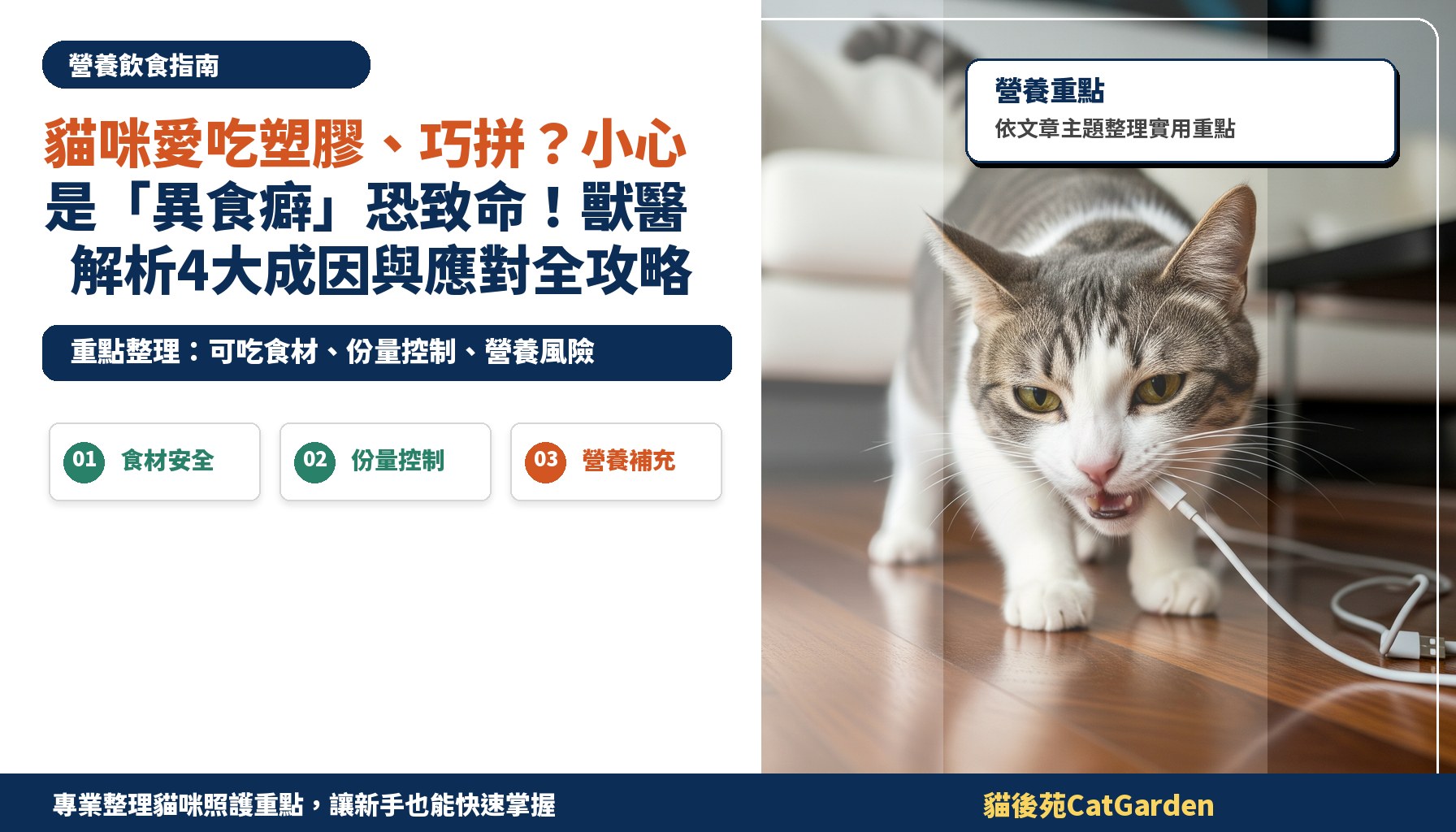 貓咪愛吃塑膠、巧拼？小心是「異食癖」恐致命！獸醫解析4大成因與應對全攻略