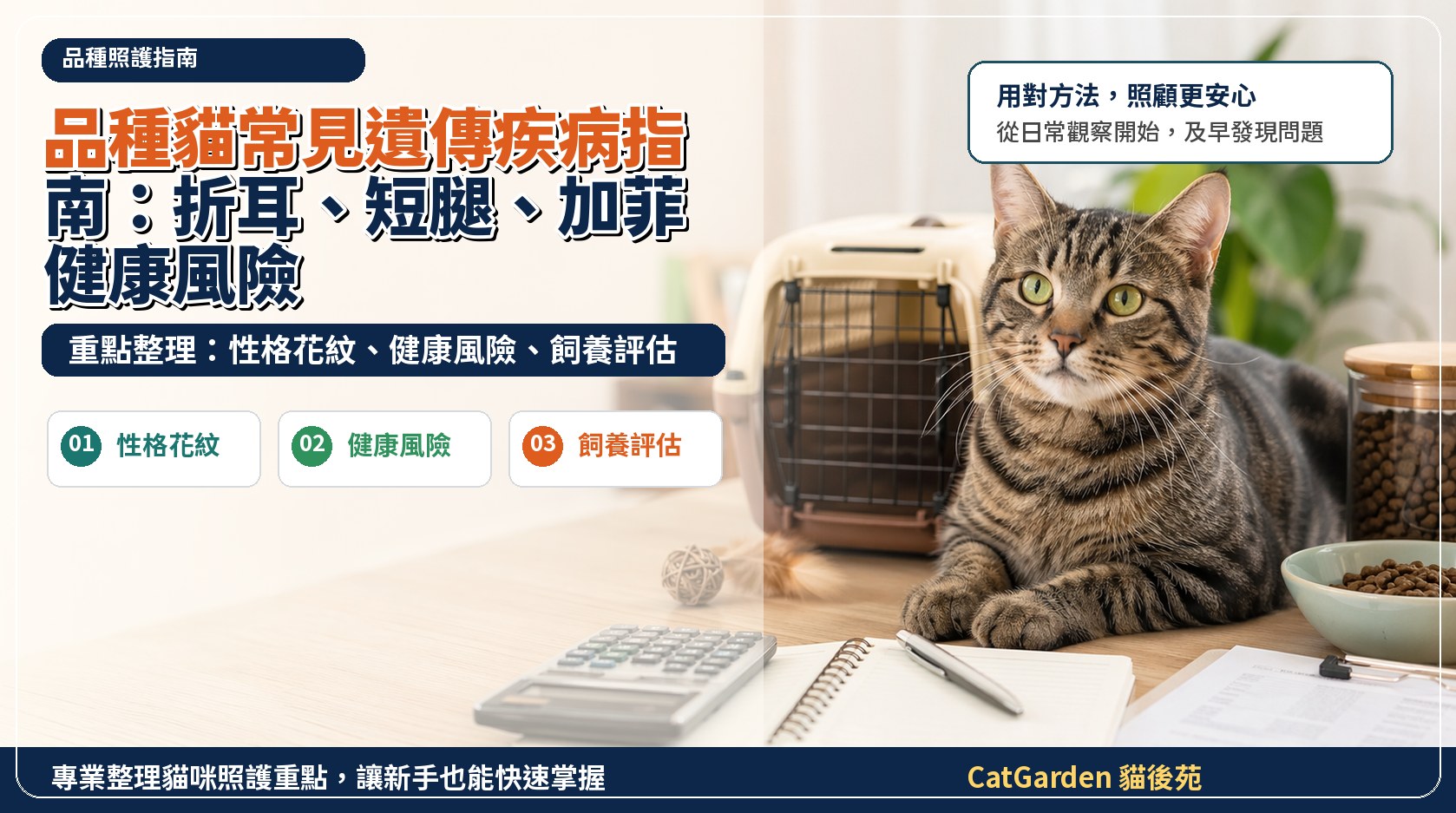 品種貓常見遺傳疾病指南：折耳、短腿、加菲健康風險 封面圖