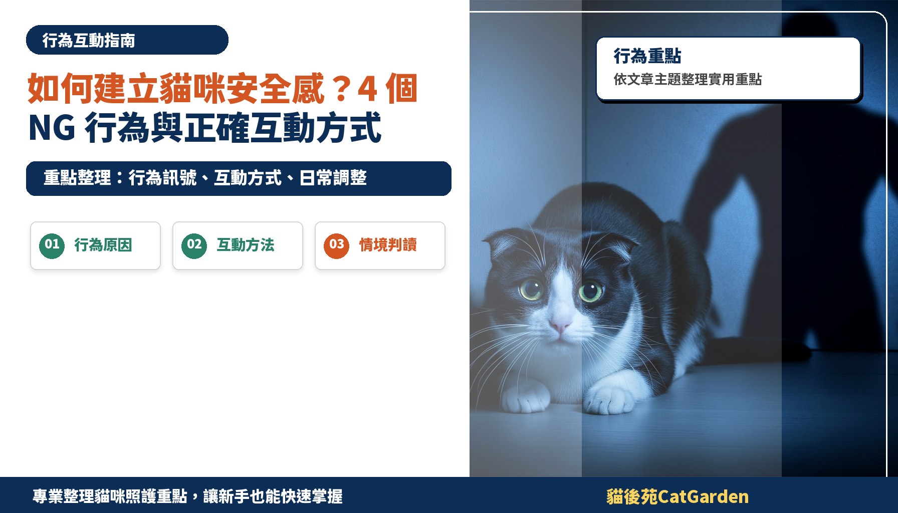 如何建立貓咪安全感？4 個 NG 行為與正確互動方式