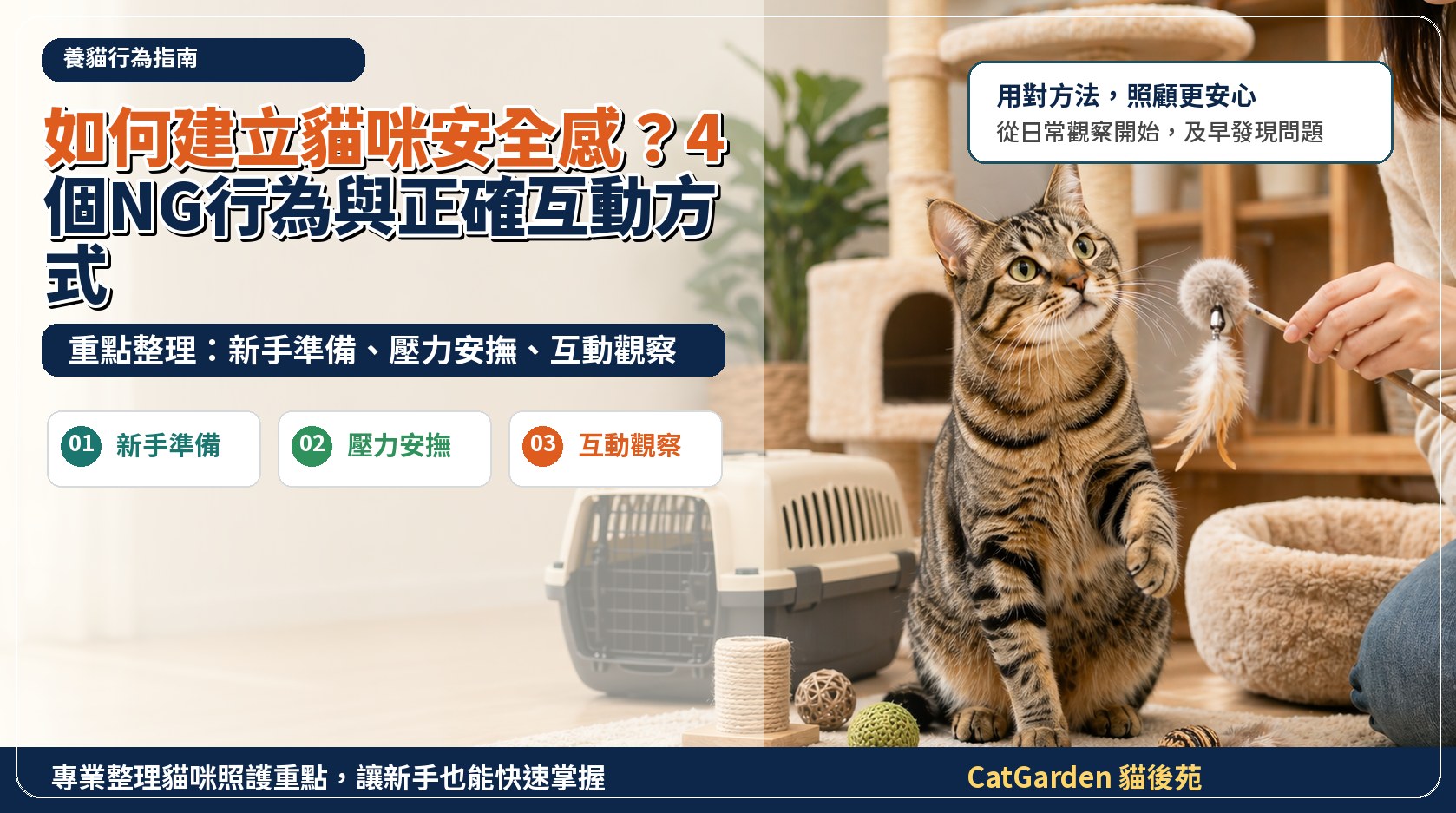 如何建立貓咪安全感？4 個 NG 行為與正確互動方式 封面圖