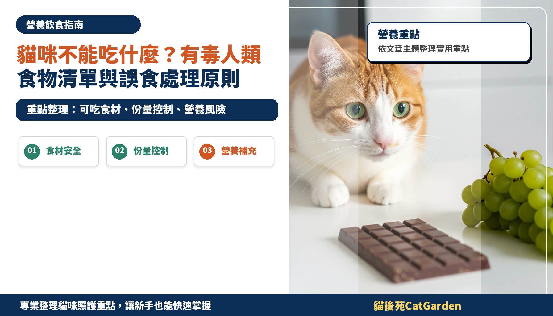 貓咪不能吃什麼？有毒人類食物清單與誤食處理原則