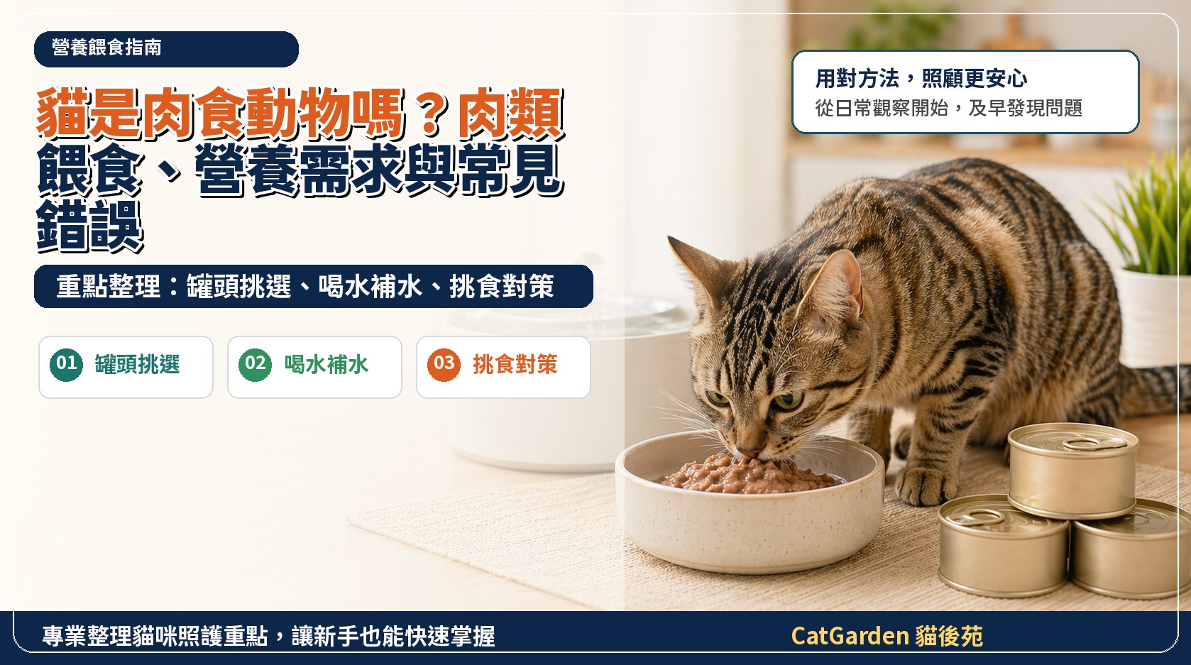 貓是肉食動物嗎？肉類餵食、營養需求與常見錯誤 封面圖