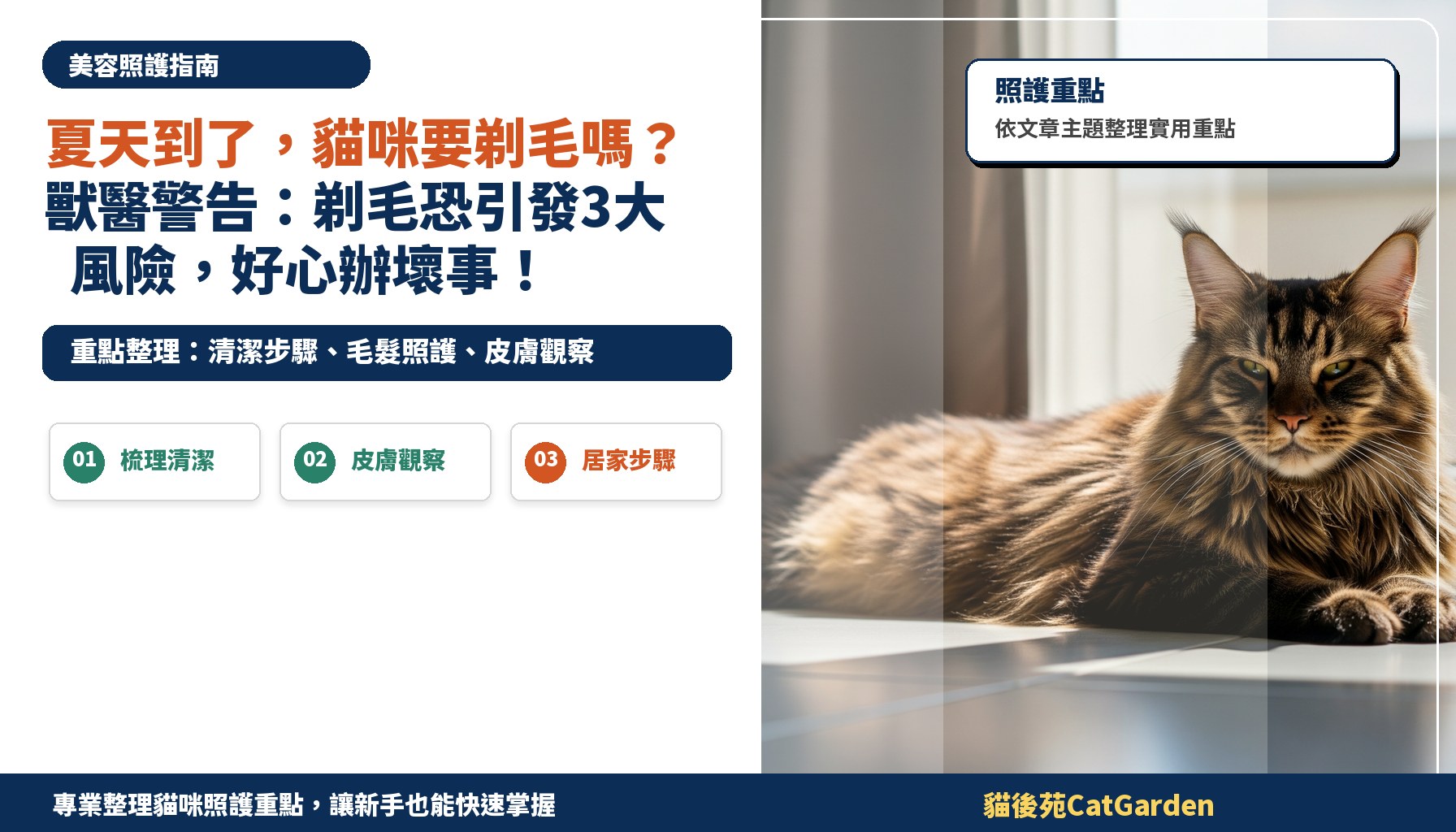 夏天到了，貓咪要剃毛嗎？獸醫警告：剃毛恐引發3大風險，好心辦壞事！