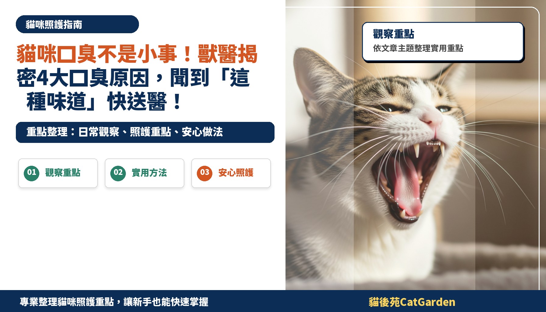 貓咪口臭不是小事！獸醫揭密4大口臭原因，聞到「這種味道」快送醫！