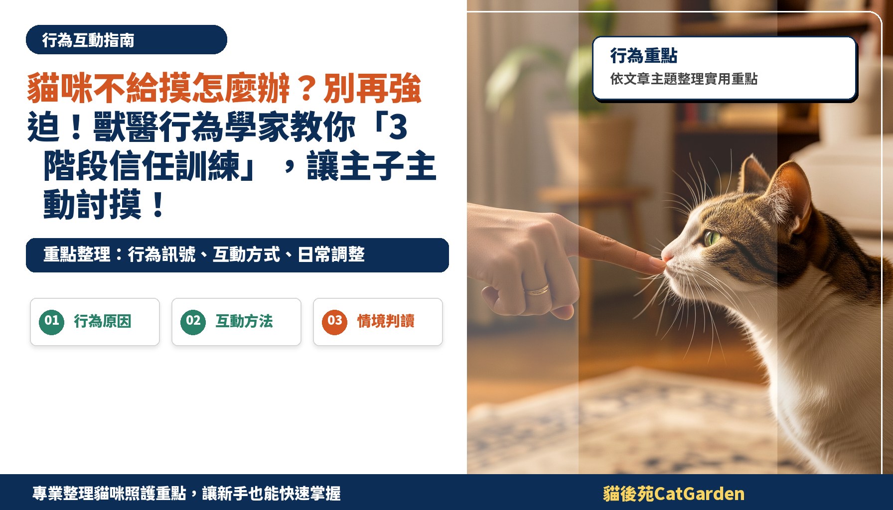 貓咪不給摸怎麼辦？別再強迫！獸醫行為學家教你「3階段信任訓練」，讓主子主動討摸！