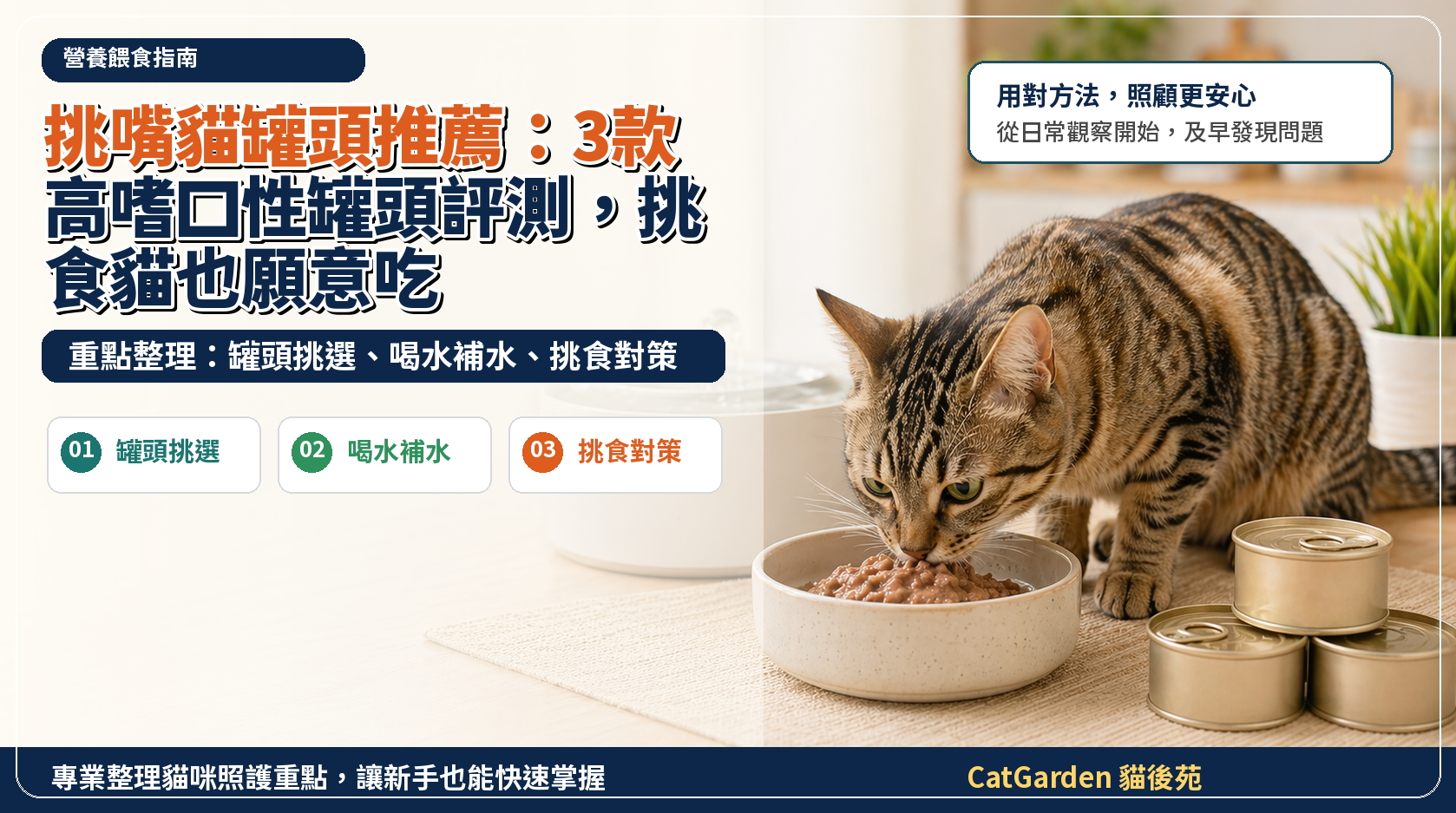 挑嘴貓罐頭推薦：3款高嗜口性罐頭評測，挑食貓也願意吃 封面圖