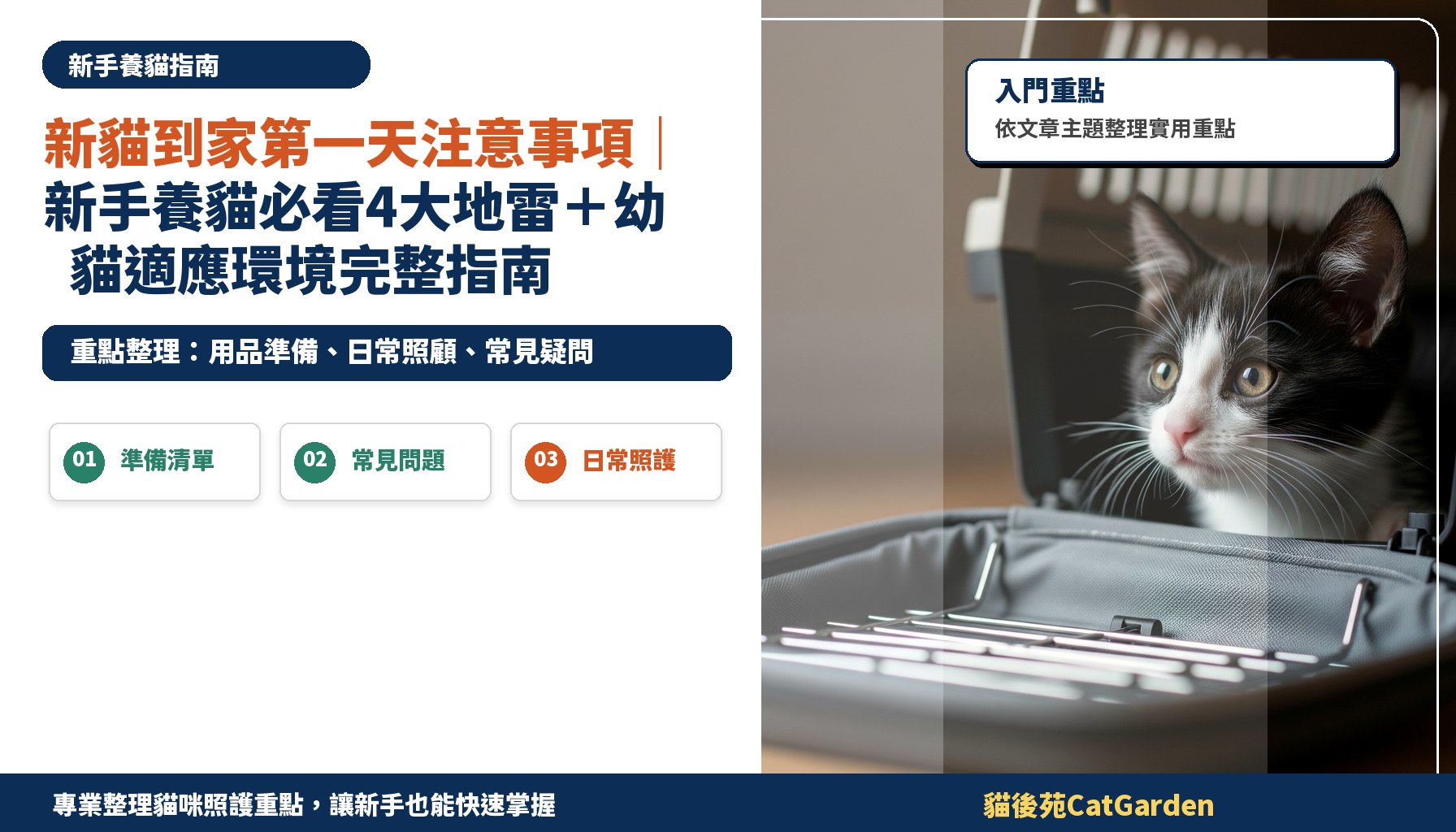 新貓到家第一天注意事項｜新手養貓必看4大地雷＋幼貓適應環境完整指南