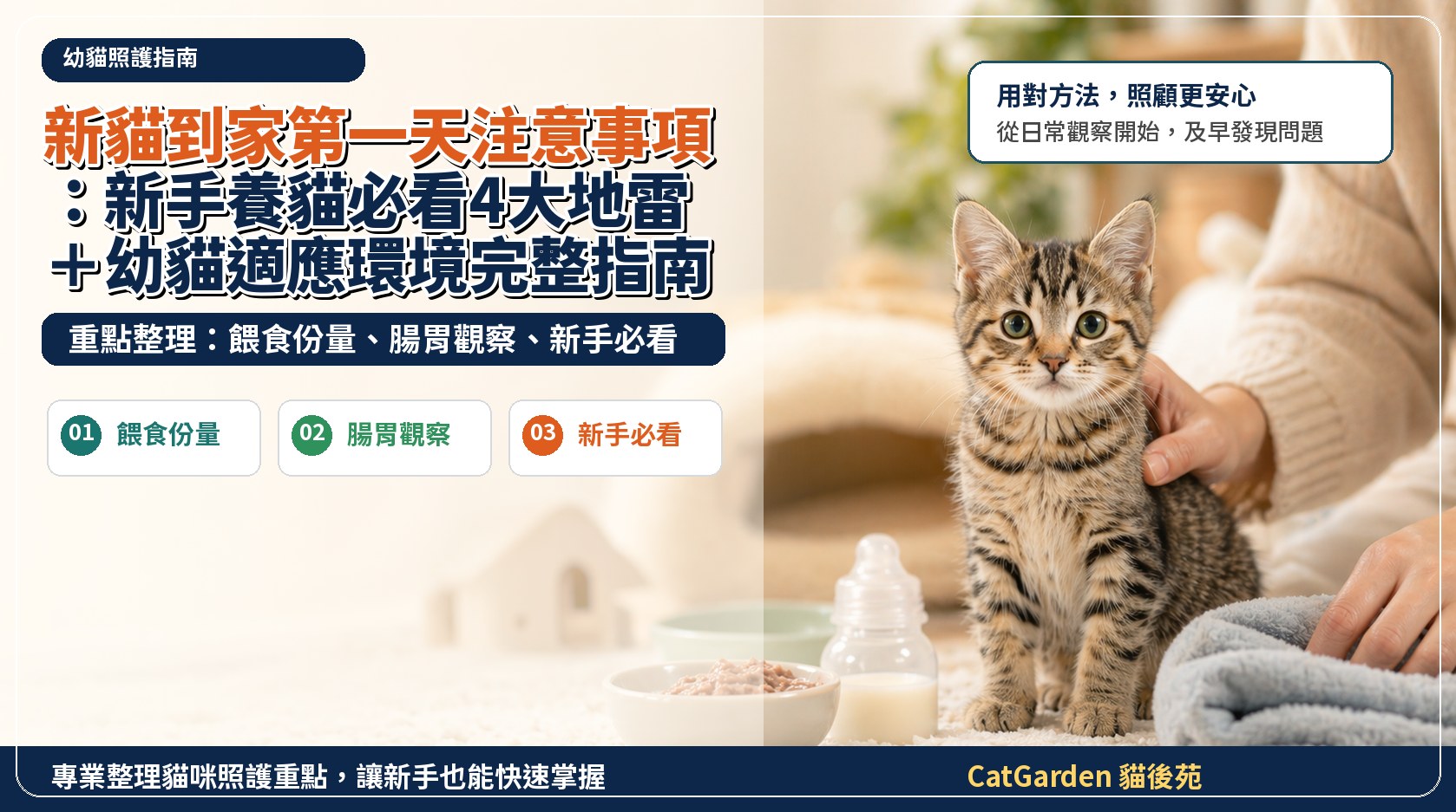 新貓到家第一天注意事項：新手養貓必看4大地雷＋幼貓適應環境完整指南 封面圖