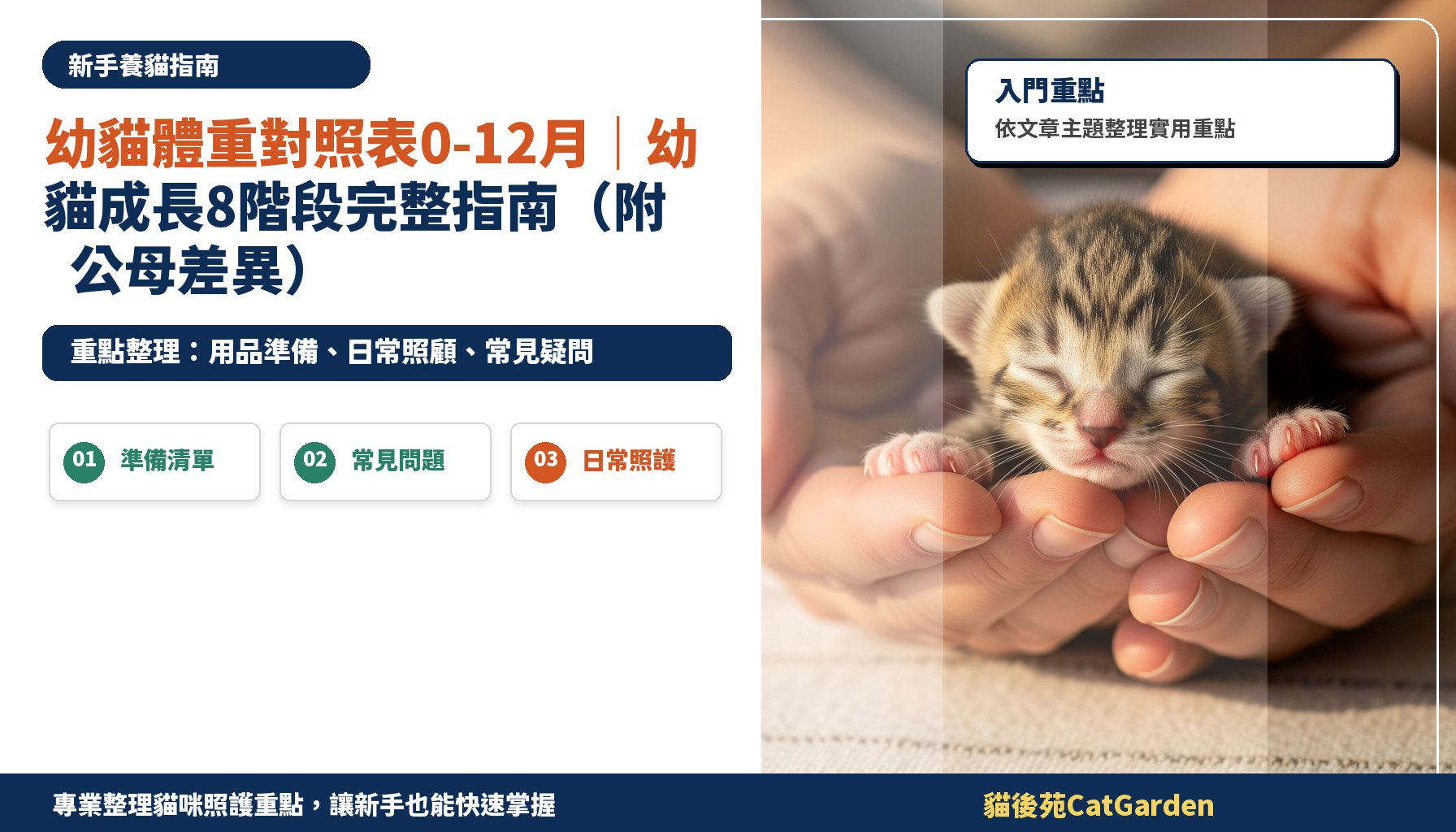 幼貓體重對照表0-12月｜幼貓成長8階段完整指南（附公母差異）