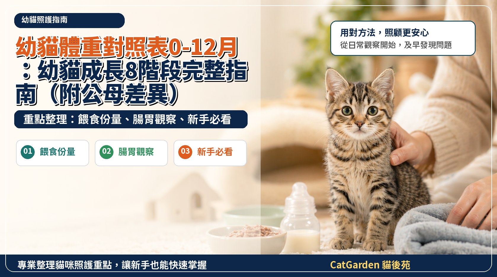 幼貓體重對照表0-12月：幼貓成長8階段完整指南（附公母差異） 封面圖