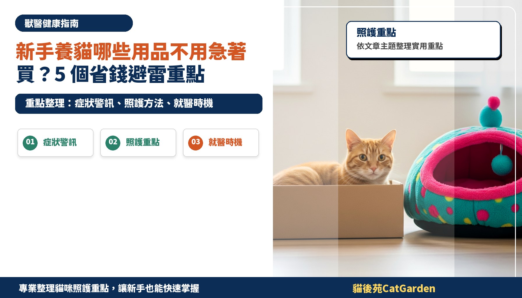 新手養貓哪些用品不用急著買？5 個省錢避雷重點