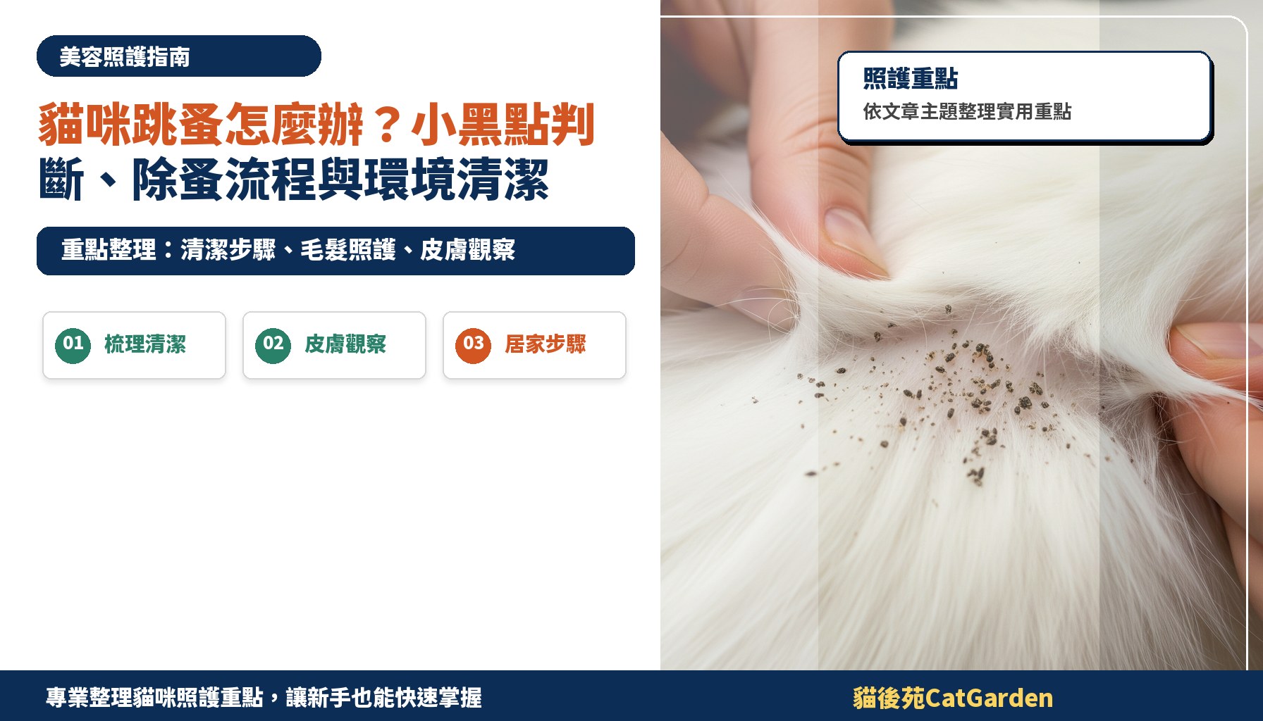 貓咪跳蚤怎麼辦？小黑點判斷、除蚤流程與環境清潔
