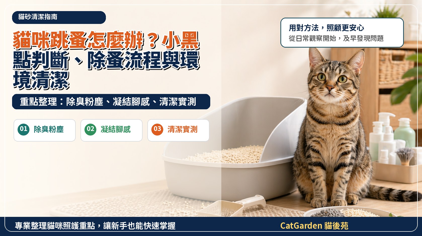 貓咪跳蚤怎麼辦？小黑點判斷、除蚤流程與環境清潔 封面圖