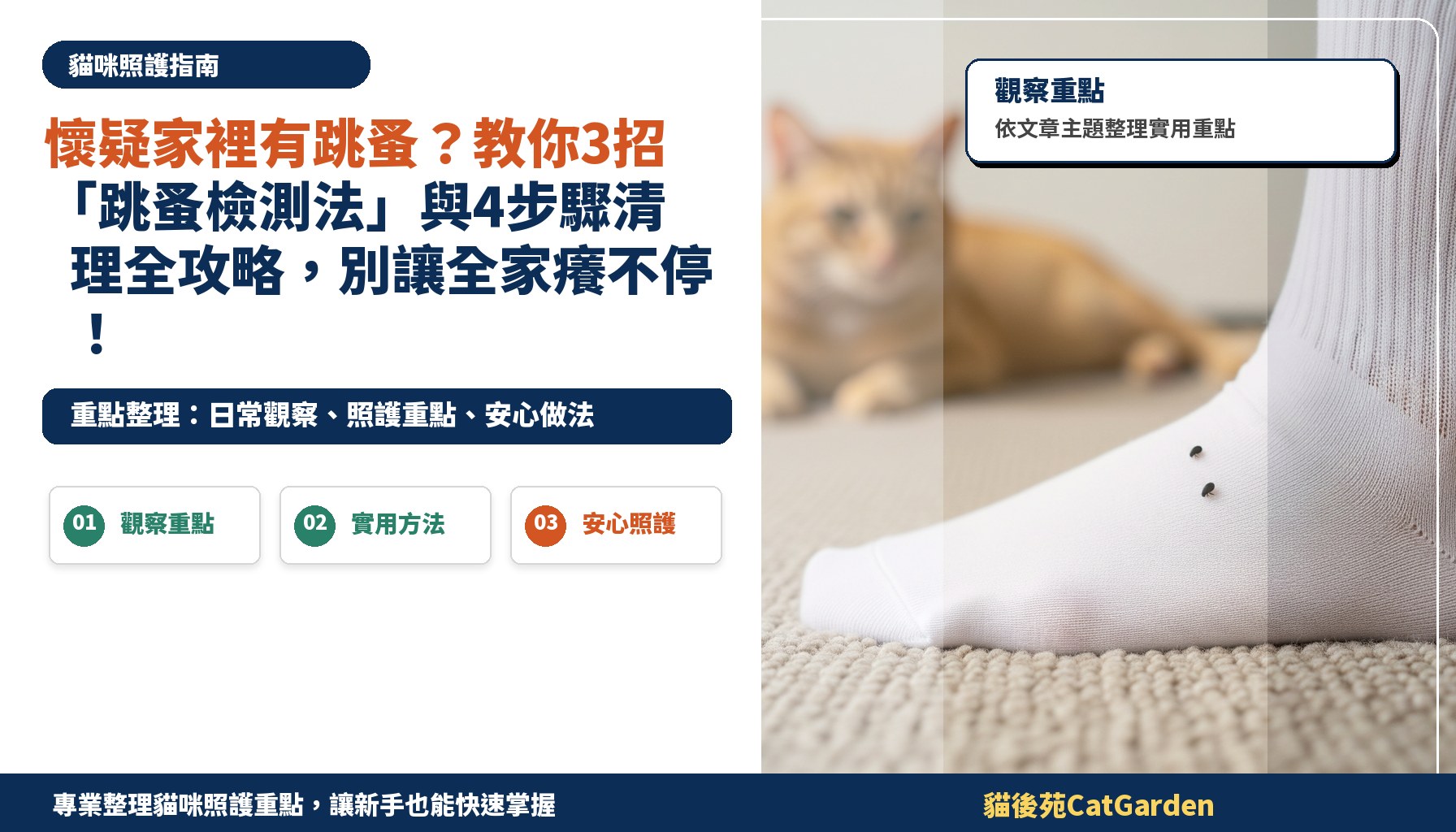 懷疑家裡有跳蚤？教你3招「跳蚤檢測法」與4步驟清理全攻略，別讓全家癢不停！