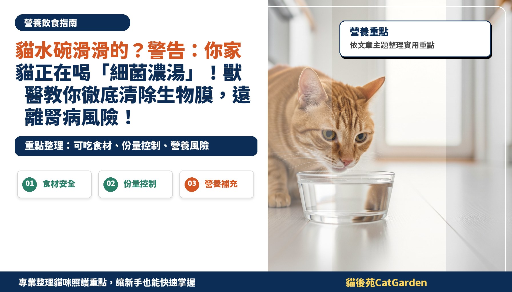 貓水碗滑滑的？警告：你家貓正在喝「細菌濃湯」！獸醫教你徹底清除生物膜，遠離腎病風險！