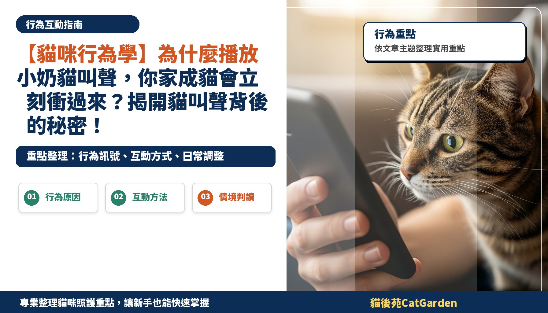 【貓咪行為學】為什麼播放小奶貓叫聲，你家成貓會立刻衝過來？揭開貓叫聲背後的秘密！