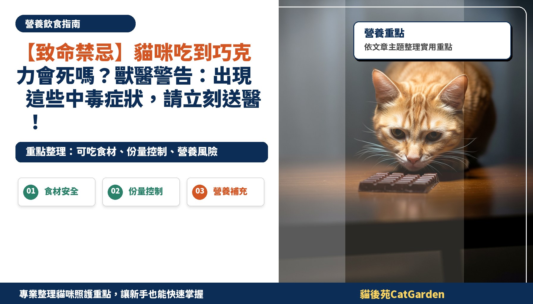 【致命禁忌】貓咪吃到巧克力會死嗎？獸醫警告：出現這些中毒症狀，請立刻送醫！