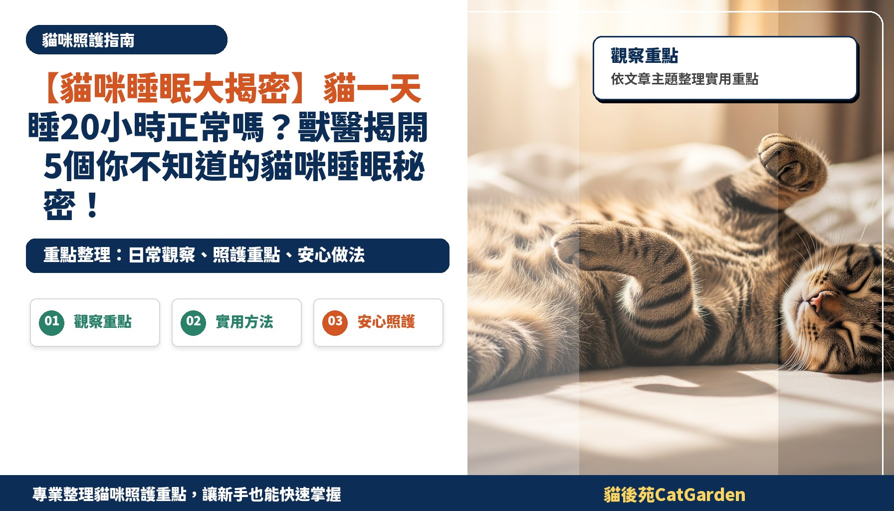 【貓咪睡眠大揭密】貓一天睡20小時正常嗎？獸醫揭開5個你不知道的貓咪睡眠秘密！