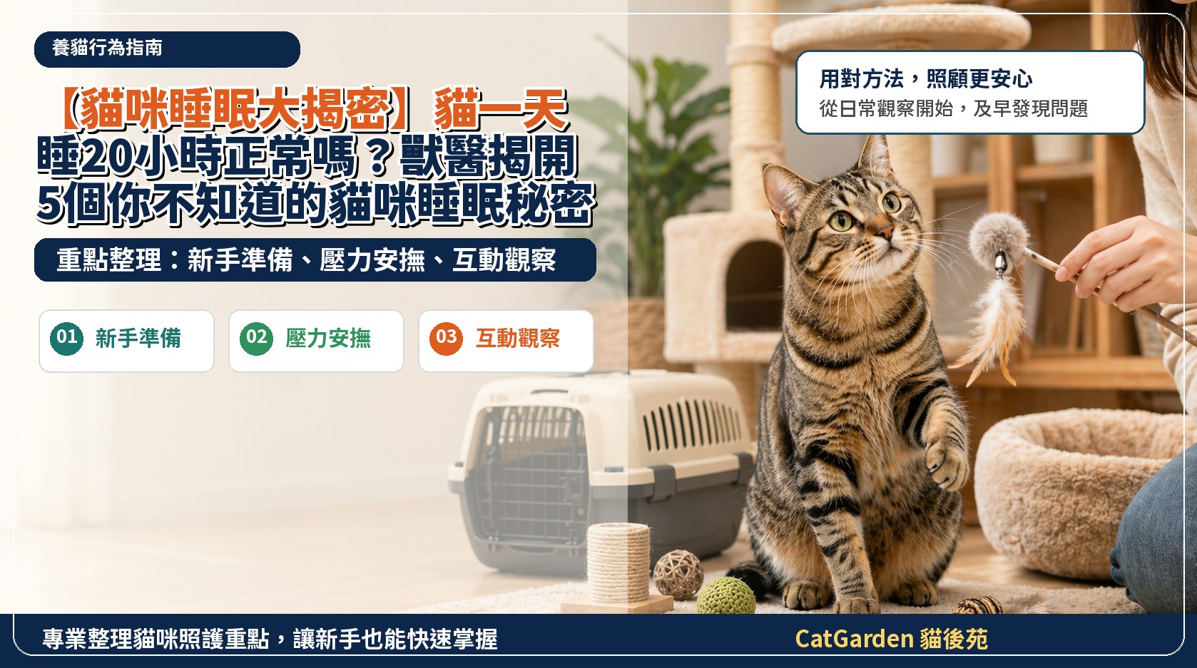 【貓咪睡眠大揭密】貓一天睡20小時正常嗎？獸醫揭開5個你不知道的貓咪睡眠秘密！ 封面圖