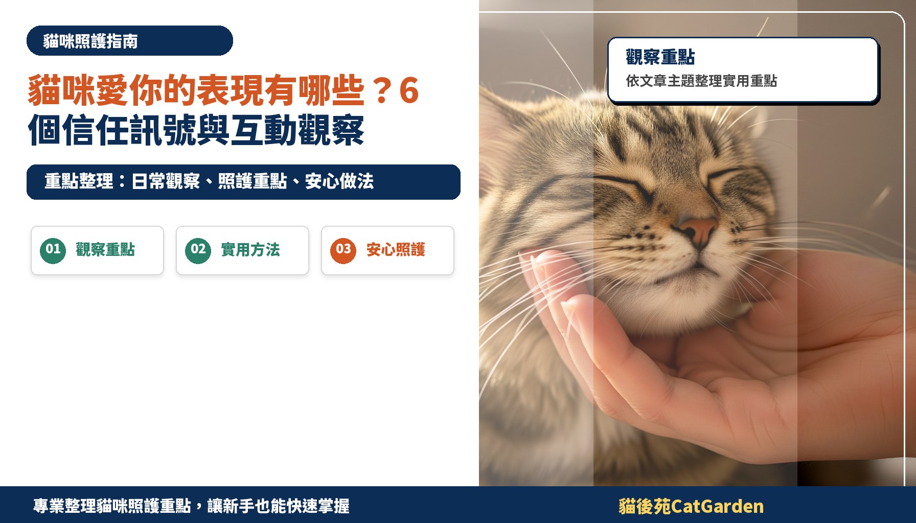 貓咪愛你的表現有哪些？6 個信任訊號與互動觀察